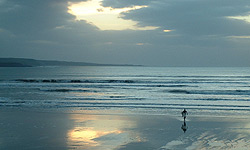 The Beaches of the Shannon Region